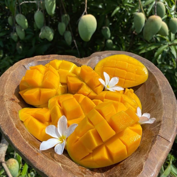 Orchard Oasis Seasonal Fruit Selection